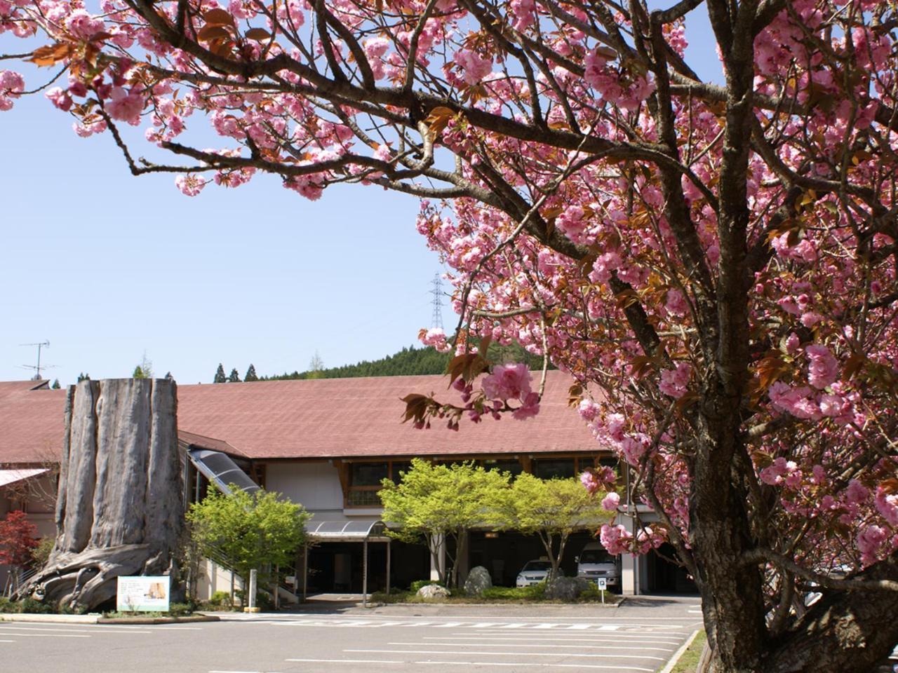 Megahira Onsen Quelle Yoshiwa Hotel Hatsukaichi Exterior foto
